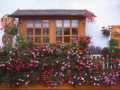 Balcone di montagna fiorito - ( balcone in legno fiorito )