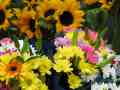 Mazzo di fiori - ( girasoli, lilium, dalie )