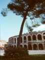 Verona - L'Arena ( Anfiteatro romano )